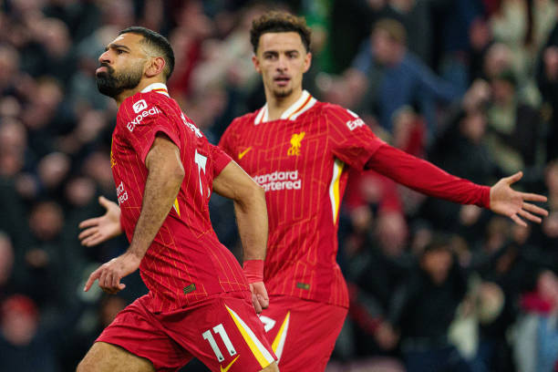 库适应良好 库适应良好